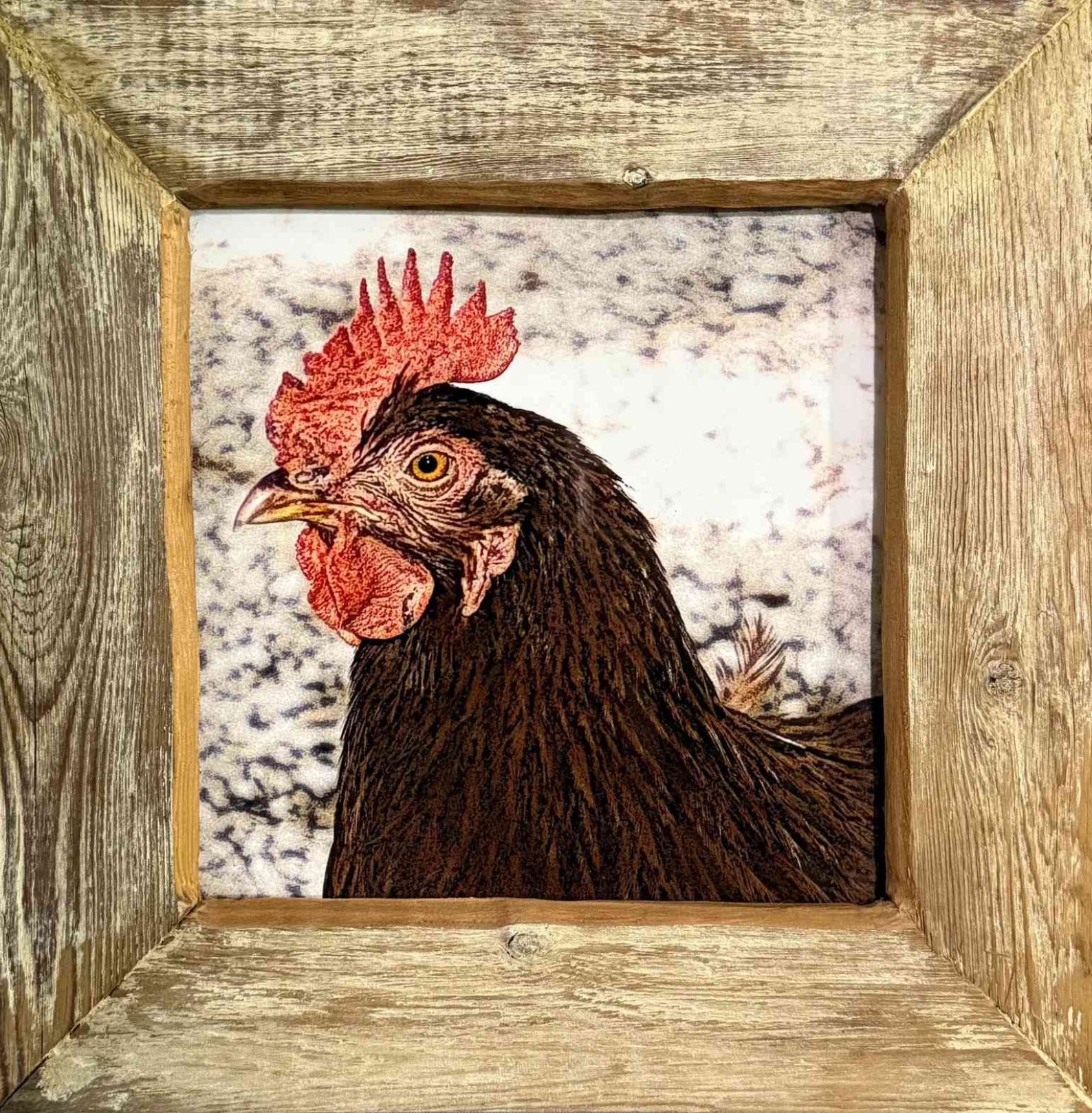 Brown Rooster